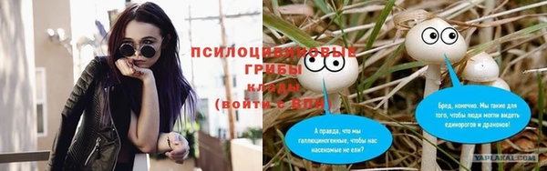 mix Абаза